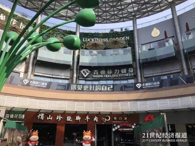 星空娱乐|曝诺伊尔可赶上最后两轮联赛 一天两练全力恢复(图1) 星空体育网站